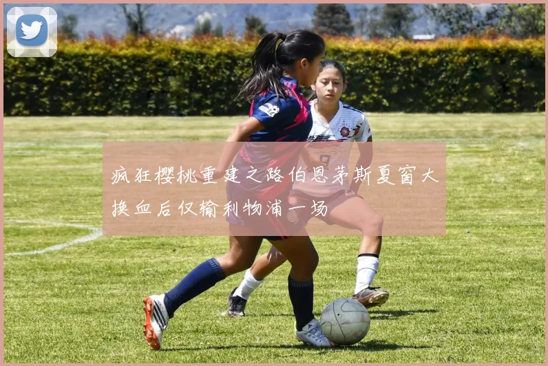 疯狂樱桃重建之路伯恩茅斯夏窗大换血后仅输利物浦一场