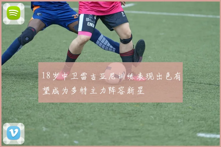 18岁中卫雷吉亚尼训练表现出色有望成为多特主力阵容新星